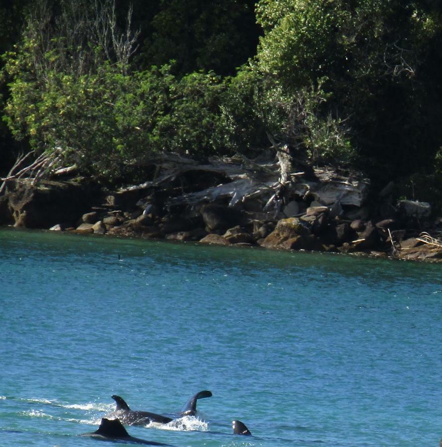 Anchorage Motel Whitianga Luaran gambar